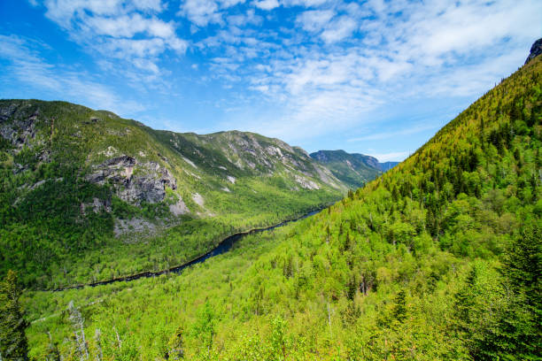 istock Overview of the valley 1321823052