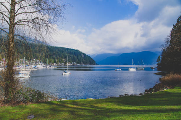 istock View from the hill in Deep cove 1321827944