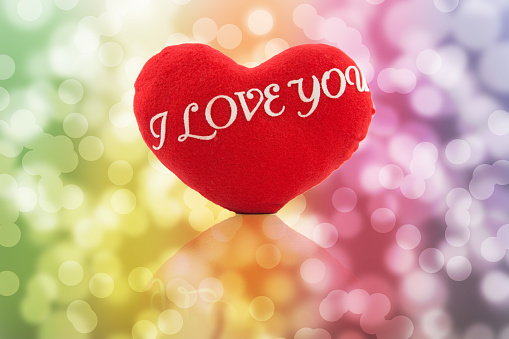 Red heart shape pillow with word I Love You on multicolored bouquet backgrounds.