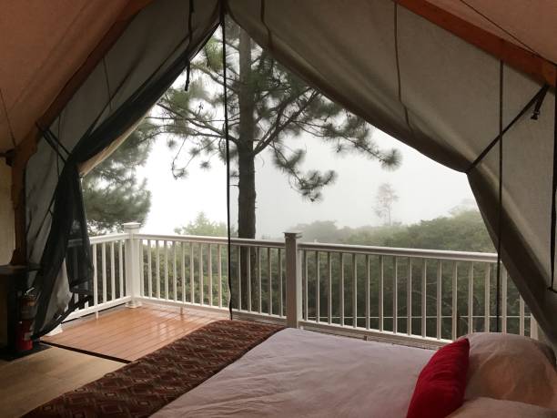 istock Luxury  tent hotel bed 1321830258