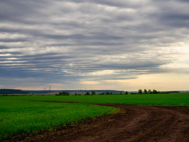 istock Rural road in a green field against a blue sky with clouds. 1321841473