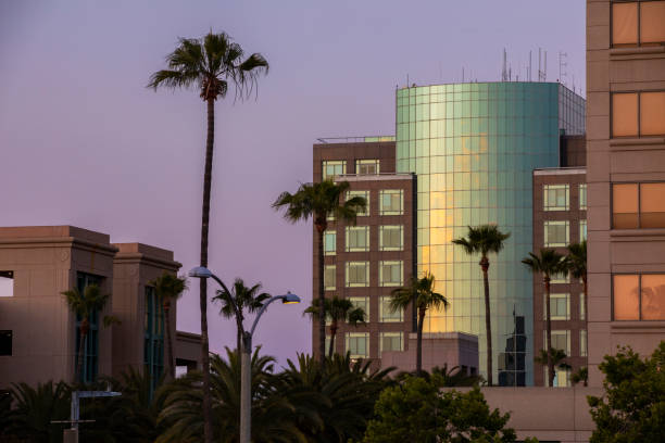 istock Anaheim, California 1321844401