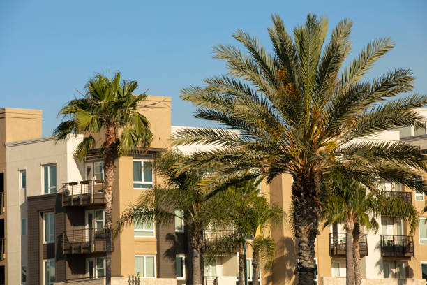 istock Anaheim, California 1321844509