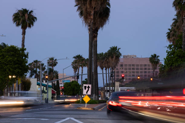 istock Anaheim, California 1321845195