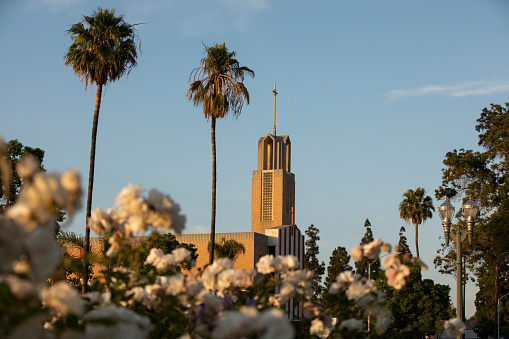 Sunset palm framed view of the historic downtown Anaheim, California, USA.