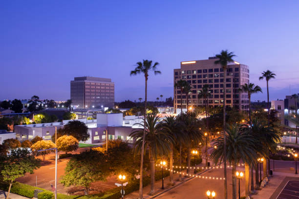 istock Anaheim, California 1321845481