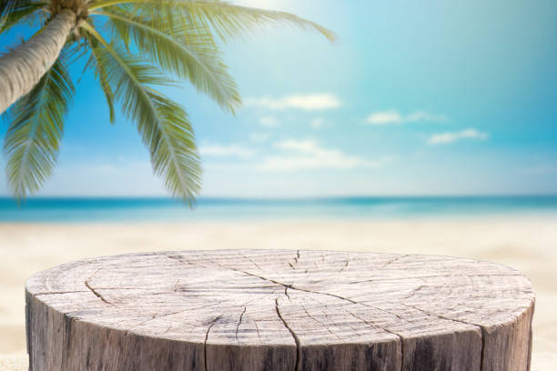 istock Stump table on sandy beach with blurred blue sea background. For product display.Calm Sea and Blue Sky Background 1321851134
