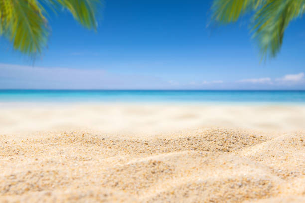 istock white sand and tropical sea blue sky. 1321854795