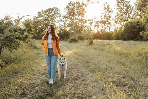 Teenage girl  hiking with pet dog in sunset on grass field