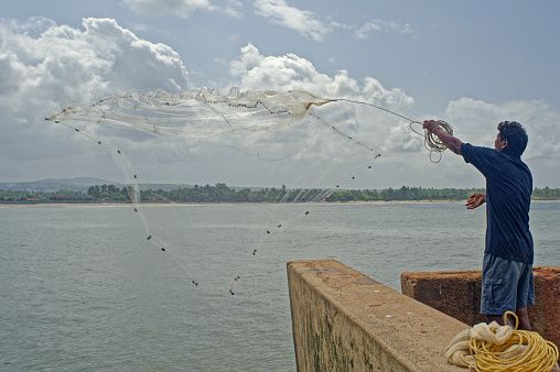 11 Jun 2009 Closeup of a native fisherman practicing the art of fishing with net Arabian sea at Vengurla ; Aruali ; Sindhudurg district ; Maharashtra ; India