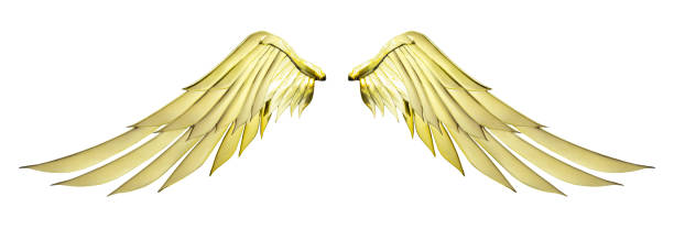 istock Golden angel wing with gold color isolated on white background and clipping path 1321861663
