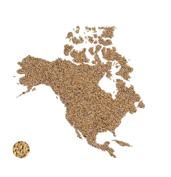 istock Image of map made of wheat grains 1321865045