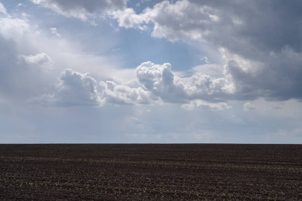istock Plowed field on hills, Ukraine 1321868649