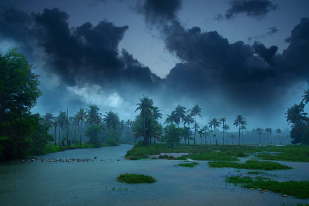 ciel nuageux sur un magnifique paysage de plaine inondable - pets water lake sky photos et images de collection