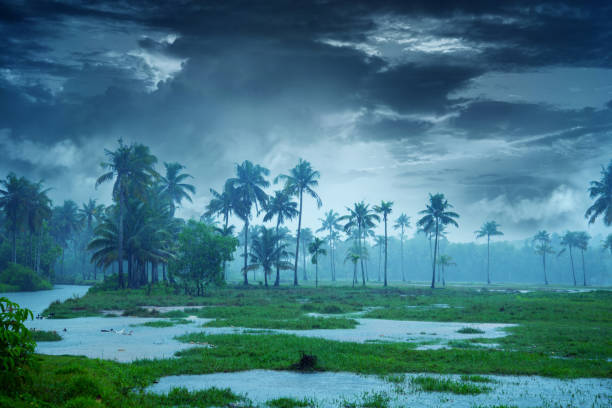istock Cloudy sky over beautiful flood plain landscape 1321878633
