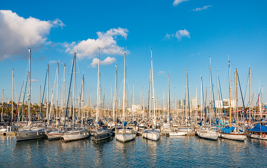 A picture of the Port Vell Marina with many docked boats.