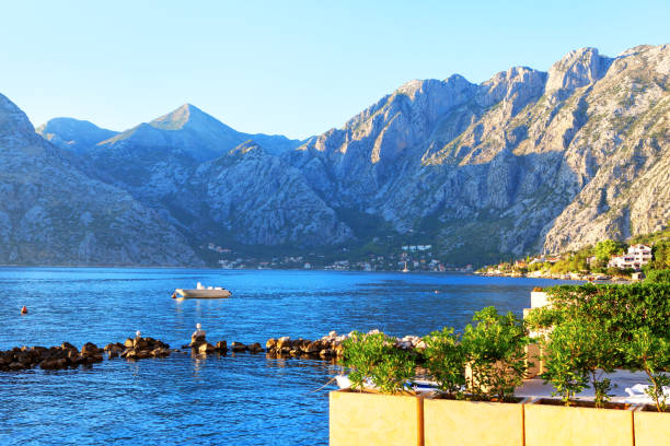 coastal terrace with harbor - usa restaurant flower bed beauty in nature imagens e fotografias de stock