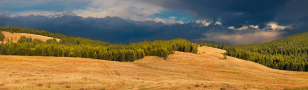 istock Sunset light in the mountains, thunder sky, panorama landscape 1321882097