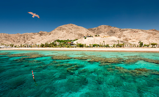Coral reefs of the Red Sea. Tourist resort hotels of the Red Sea, sandy beaches, coral reefs and mountains, Sinai, Eilat, Israel. Colorful view for Web banner