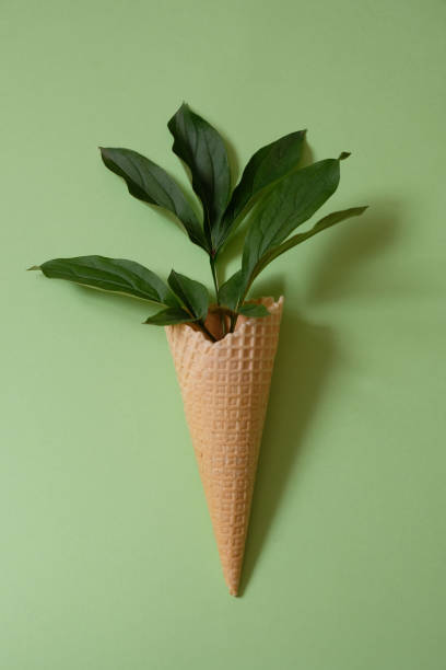 istock Peony leaf in a waffle cone. Summer concept. 1321885071