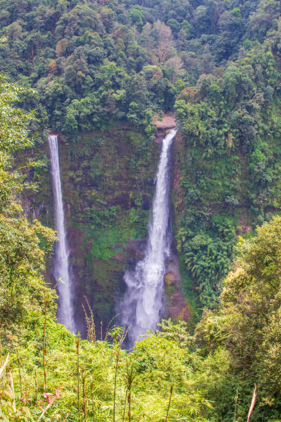 istock Waterfall in Laos Pakse Southeast Asia 1321885367