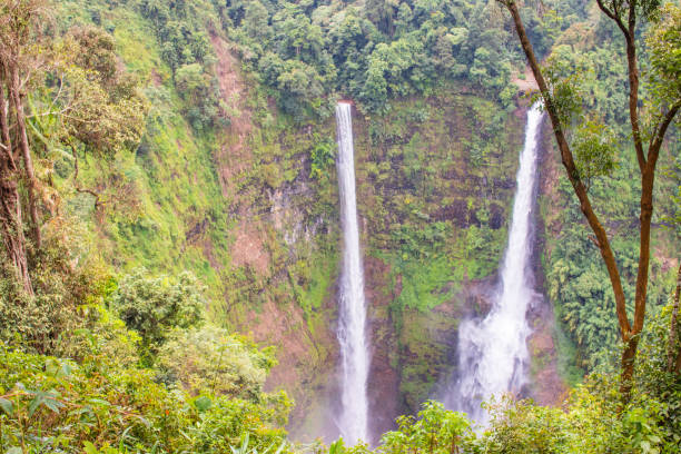 istock Waterfall in Laos Pakse Southeast Asia 1321885639