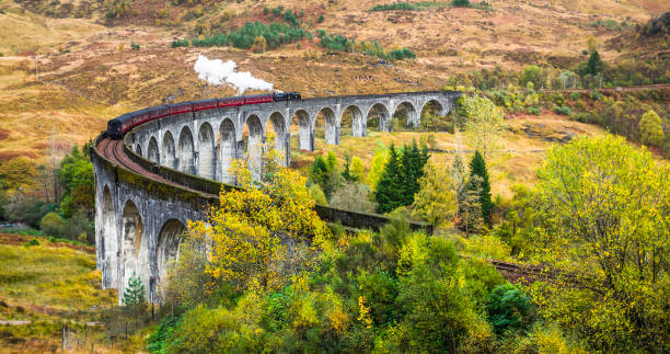 Glenfinnan viaduct with a steam train, Scotland, UK