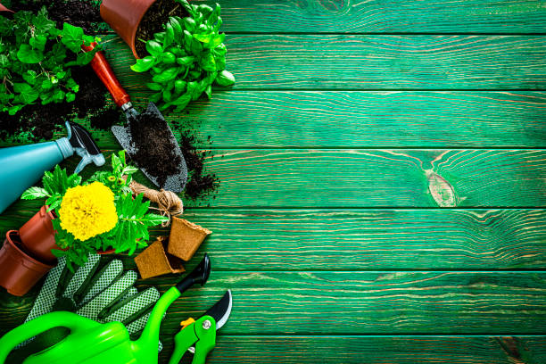 Home gardening: overhead view of gardening equipment arranged at the left border of an horizontal green table leaving useful copy space for text and/or logo at the right.