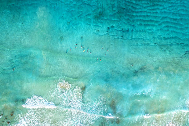 istock People surfing in amazing water 1321896504