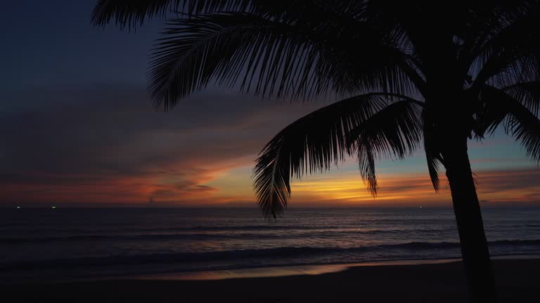 Coconut trees silhouette for sun down ,Background Sky.