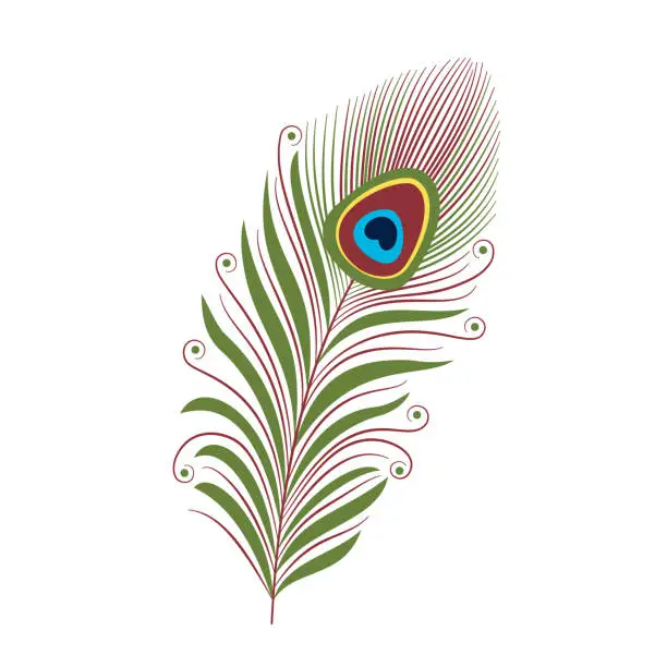 Vector illustration of Bright peacock feather decorated with curls and circles. Hand-drawn vector, flat style. Feather of an exotic bird. Fashion and beauty, boho style. For tattoo, illustrations, web banners, print fabric.