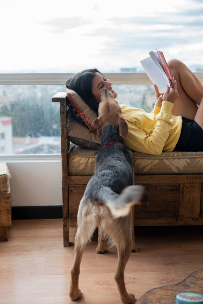 istock Young Latina lying on her sofa reading her book while her dog comes to get her to play 1321909058
