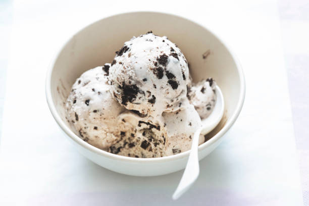 sorvetes de baunilha de biscoito de chocolate na tigela - ice cream vanilla ice cream bowl white - fotografias e filmes do acervo