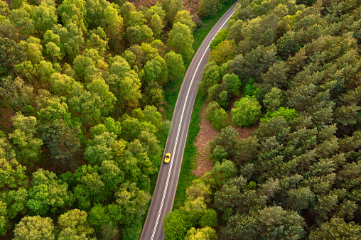 Aerial view of a yellow car on road through forest at dusk, Staffordshire, England, UK