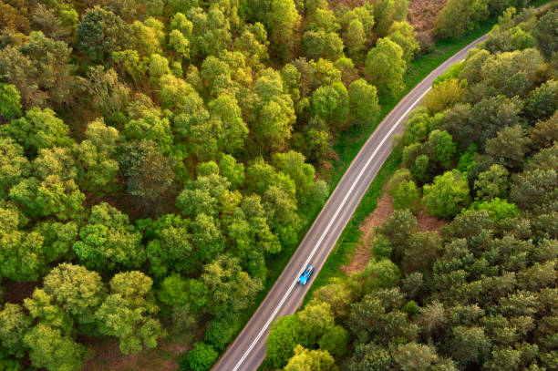 vista aérea de um carro azul na estrada através da floresta ao anoitecer - staffordshire - fotografias e filmes do acervo