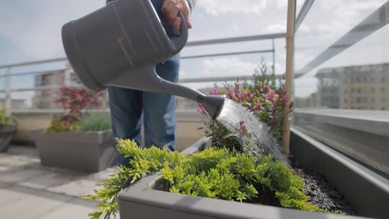 Teenage boy watering flowers on balcony