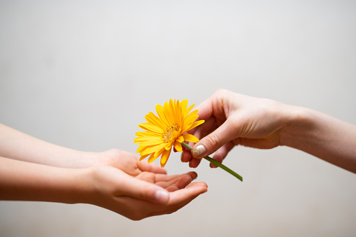 Parent and child hands handing yellow flower