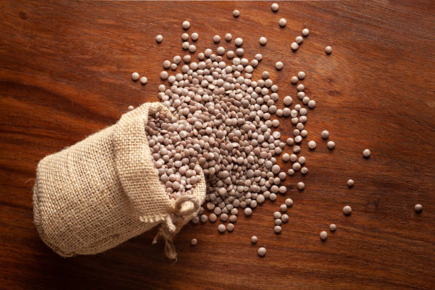 close-up of organic masoor dal (lens culinaris) or whole brown dal spilled out from a laying jute bag over wooden brown background. - lentil full frame macro close up imagens e fotografias de stock