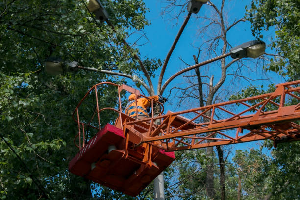 istock A municipal worker in protective equipment performs hazardous work to eliminate an interruption in the power grid. 1321947051