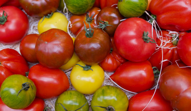 Full frame image of tomatoes in assorted colours