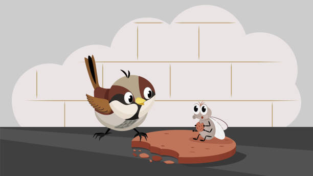 Cartoon fly and sparrow Cartoon fly and sparrow. Vector illustration of a cartoon sparrow and a fly on a piece of cookie for animation. All the details are on separate layers with names. Editable strokes. disney character free background stock illustrations