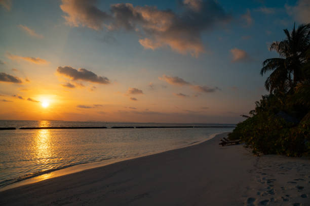 istock Panoramic landscape of Maldives tropical beach during sunset. 1321963653