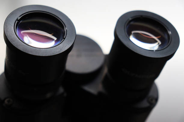 istock microscope is a laboratory instrument used to examine objects that are too small to be seen by the naked eye 1321968307