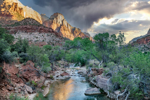 istock Canyon and river in Zion National Park 1321969948