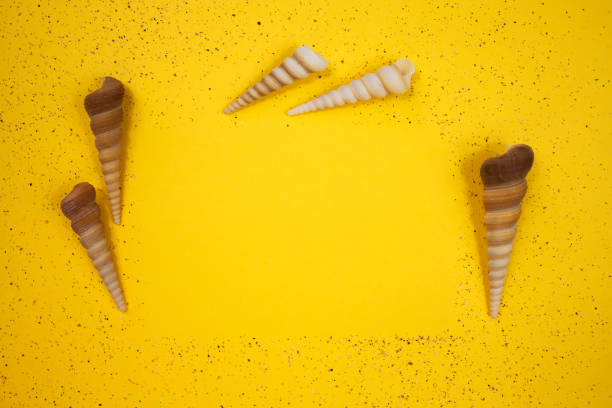 istock Natural seashells and sand on a yellow background. View from above. 1321978776