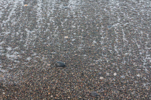 Beach stone pebbled wet background with visible white traces of sea waves. Summer background with copy space option