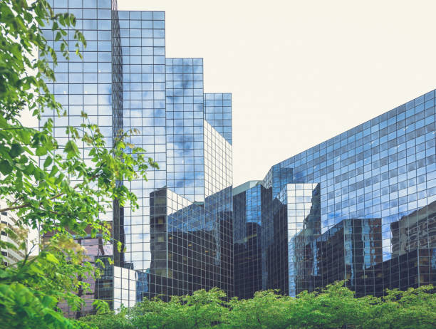 istock Green Leafs in the city 1321985381