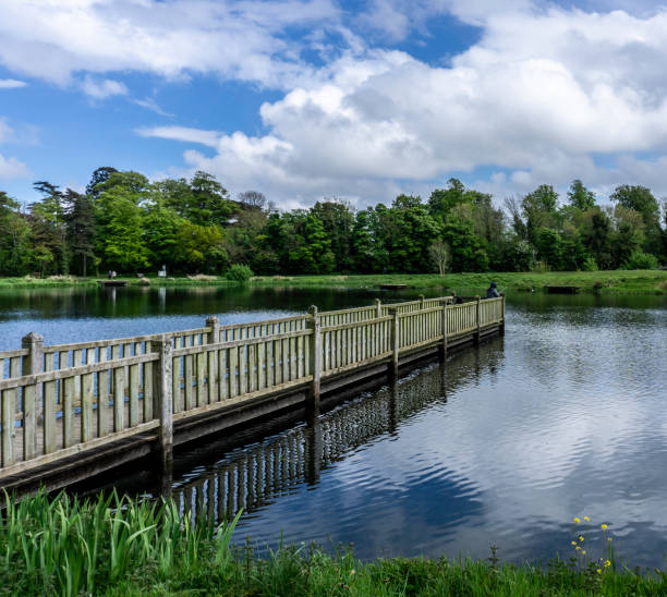 jezioro rybackie w corcagh park, clondalkin, dublin, irlandia. - clondalkin zdjęcia i obrazy z banku zdjęć