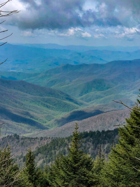 istock Layers of colored mountains and green trees 1321989526