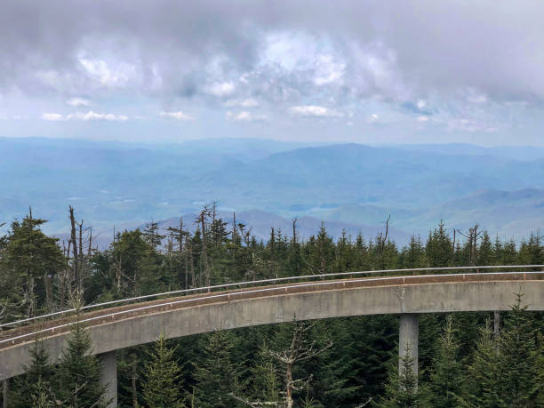 Clingman's Dome in Great Smoky Mountains